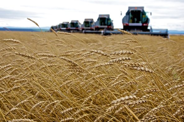Trabajo de campo y equipos profesionales